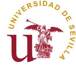 prueba idiomas